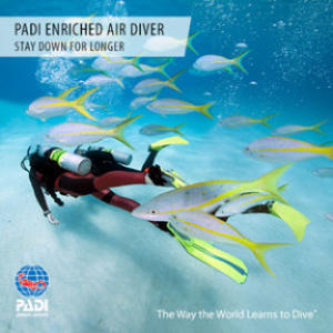 padi enriched air diver specialty on the costa blanca 26