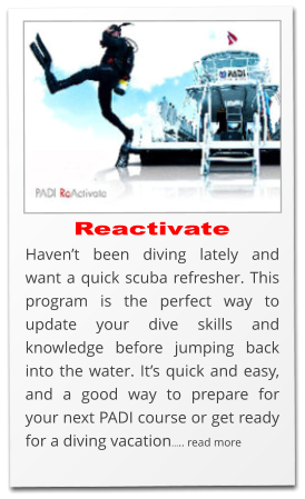 Reactivate Haven’t been diving lately and want a quick scuba refresher. This program is the perfect way to update your dive skills and knowledge before jumping back into the water. It’s quick and easy, and a good way to prepare for your next PADI course or get ready for a diving vacation….. read more