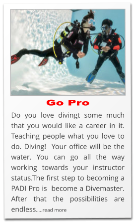 Do you love divingt some much that you would like a career in it. Teaching people what you love to do. Diving!  Your office will be the water. You can go all the way working towards your instructor status.The first step to becoming a PADI Pro is  become a Divemaster. After that the possibilities are endless.....read more Go Pro
