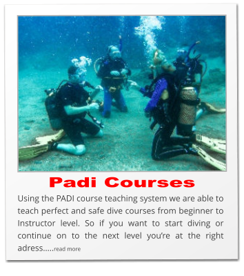 Padi Courses Using the PADI course teaching system we are able to teach perfect and safe dive courses from beginner to Instructor level. So if you want to start diving or continue on to the next level you’re at the right adress…..read more