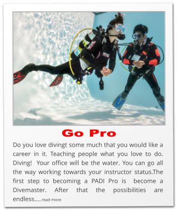 Go Pro Do you love divingt some much that you would like a career in it. Teaching people what you love to do. Diving!  Your office will be the water. You can go all the way working towards your instructor status.The first step to becoming a PADI Pro is  become a Divemaster. After that the possibilities are endless.....read more