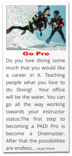 go pro with scubaworld and become a padi instructor 2