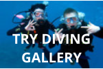 have a look at the pictures of our discover scuba diving try diving in the try dive gallery