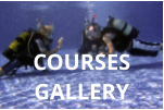 look at the pictures of our  padi dive courses on the costa balnca in the course gallery