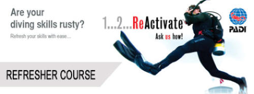 padi reactivate refresher course