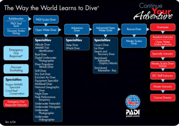 Padi flowchart the way the world learns to dive