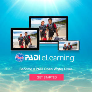 padi open water diver touch