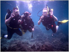 try scuba diving with padi discover scuba diving 0