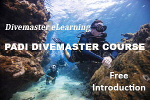 padi dive master guiding open water divers