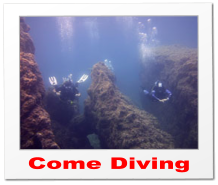 Come Diving