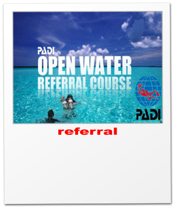 referral