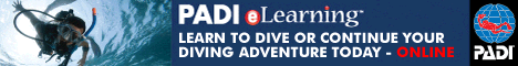 theory online with padi elearning