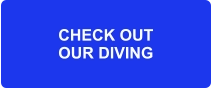 CHECK OUT OUR DIVING