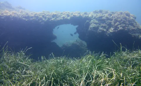 diving with scubaworld