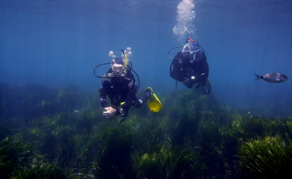padi open water diver course gallery