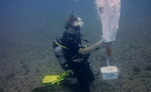 padi advanced course gallery