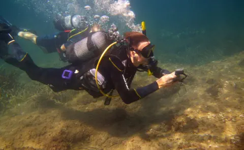 rescue diver gallery