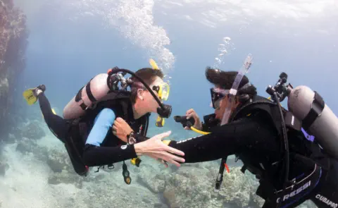 rescue diver gallery