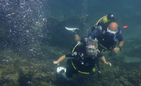 divemaster course gallery