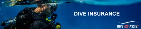 dive insurance info