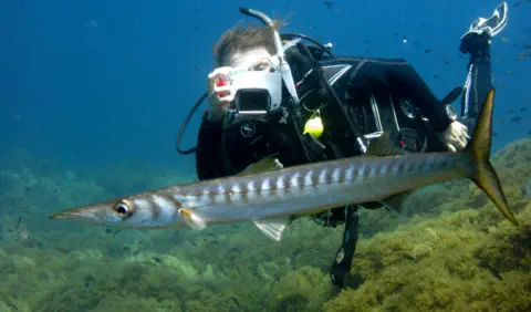 padi under water imaging specialty