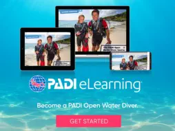 info about elearning