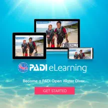 info about elearning