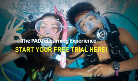 free trial owd elearning
