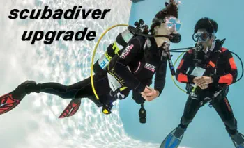 padi scuba diver to owd upgrade
