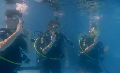 look for your padi course here