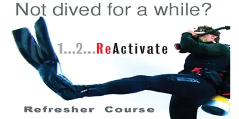 refresh your skills and reactivate