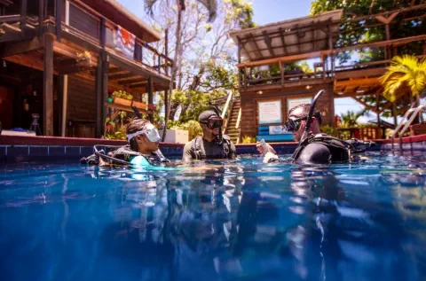 padi owsi pool scenario