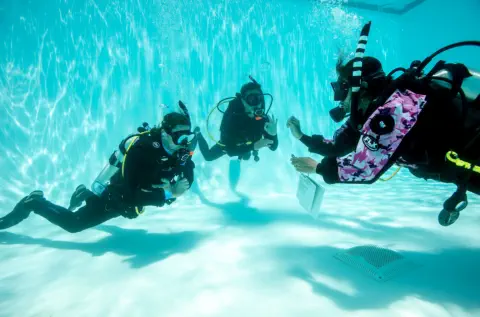 padi owsi pool training