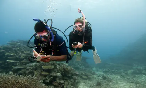 padi uw navigation training