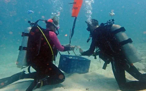 search and recovery diver specialty