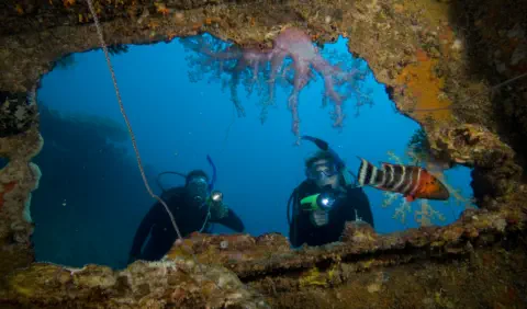 padi wreck diver specialty